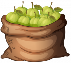3.png | Apples, Clip art and Food clipart