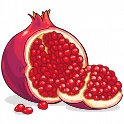 pomegranate png - Free PNG Images | TOPpng