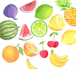 Watercolor Summer Fruits, Clipart, Set, Citrus, fruit, Healthy, Scrap  Booking, illustration, Slices