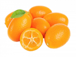 Fresh Kumquat transparent PNG - StickPNG