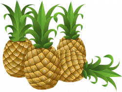 Pineapple clipart tropical fruit - Pencil and in color pineapple ...