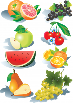 Free Fruit Vector, Download Free Clip Art, Free Clip Art on ...
