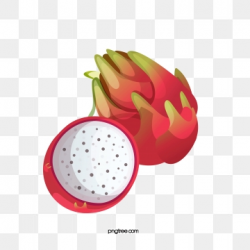 Dragon Fruit Png, Vector, PSD, and Clipart With Transparent ...