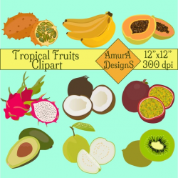 Tropical fruits print clipart vector digital fruit illustration healthy  food digital art colourful kiwano kiwi papaya coconut guava avocado