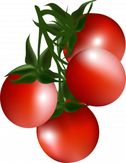 Cherry tomato Bush tomato Clip art - Cartoon red cherry 1901*2458 ...