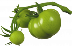 Tomato PNG Image - PurePNG | Free transparent CC0 PNG Image Library