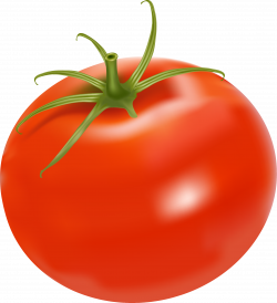Plum tomato Chicken salad Bush tomato Clip art - tomato 2205*2425 ...