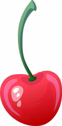 Cherry Fruit Drawing - Beautiful cherry 431*872 transprent Png Free ...