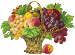 basket-of-fruit.png (650×478) | DÉCOUPAGE: FRUITS AND BLOSSOMS ...