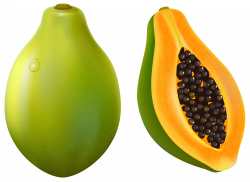 28+ Collection of Papaya Fruit Clipart | High quality, free cliparts ...
