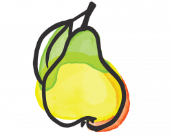 Pear Illustration - Stadelman Fruit – Top Quality Cherries, Pears ...