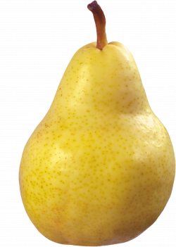 Pear Thirty-six | Isolated Stock Photo by noBACKS.com