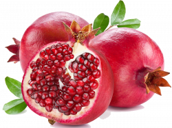 Pomegranate | El Wadi International Trade Co