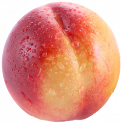Transparent Nectarine PNG Picture | Ovocie (fruit) | Pinterest ...