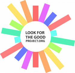 Look For The Good | Look for the Good Project | HOW IT WORKS