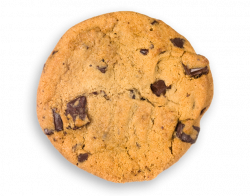 Cookie Fundraiser - House Cookies