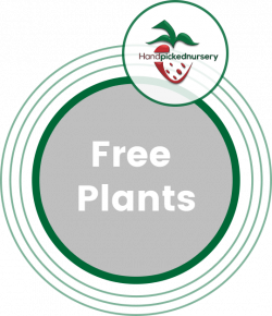 Free Plants | Hand Picked Nursery