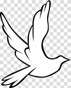 Columbidae Doves as symbols Holy Spirit in Christianity ...