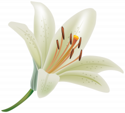 Earth Lily wallpapers (Desktop, Phone, Tablet) - Awesome Desktop ...