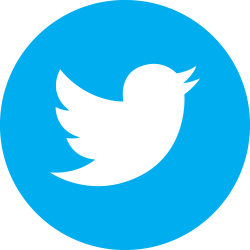 APK] Twitter Alpha Updated With App Shortcuts, Multi-Window And New ...