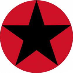 Star in circle Logos