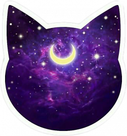 sticker stickers tumblr cute overlay cat catgalaxy pur...