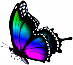 Galaxy clipart butterfly ~ Frames ~ Illustrations ~ HD images ...