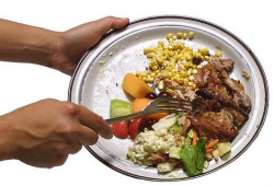 Food Waste: one of the biggest problems today and how we can ...