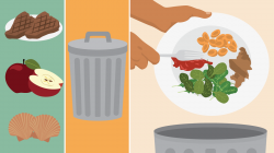 Understanding Food Waste | Fix.com