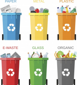 An Overview of Single Stream Recycling - Lakeshore Recycling ...