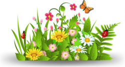 spring flower grass art background | Borders | Garden ...