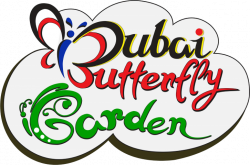 Dubai Butterfly Garden – Dubai Butterfly Garden | Travel | Pinterest ...