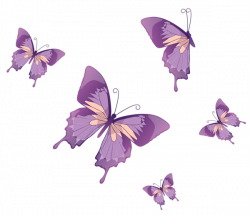 Butterflies Vector PNG Clipart (butterfly pictures) | Fairy Garden ...