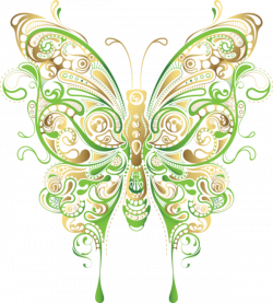 papillons, butterfly,tubes | butterflies | Pinterest | Papillons and ...