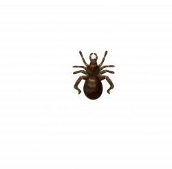 Halloween Spider Web Transparent Clip Art Image | Gallery ...