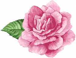 Col Jardín de rosas rosas Clip art - flores cor de rosa 935*719 ...