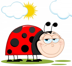 Royalty-free Cartoon Clip art - Garden ladybug 600*550 transprent ...