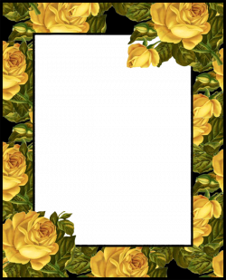 Transparent PNG Photo Frame with Yellow Roses | Gallery ...