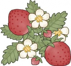 Garden strawberry clipart clipground - Clipartix