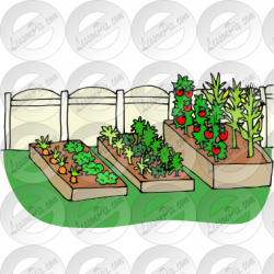 Vegetable Garden Picture for Classroom / Therapy Use - Great ...