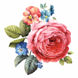 decoupage flower, flower painting, flower painting png, flower ...