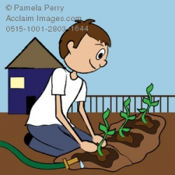Clip Art Illustration of a Teenage Boy Planting a Garden