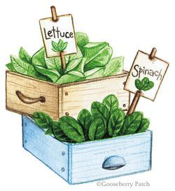 A Little Extra: Two DIY Garden Projects | ღ Clipart ღ ...