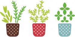 Free Image on Pixabay - Herb, Pot, Plant, Grow, Garden | Moodboard ...