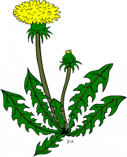 Weeds clipart free download on kathleenhalme