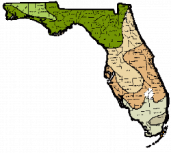 FL zone map | Green Days | Pinterest | Florida gardening and Gardens
