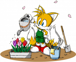 Sonic_Channel_-_Miles_Tails_Prower_2013.png (1235×1011) | sonic ...