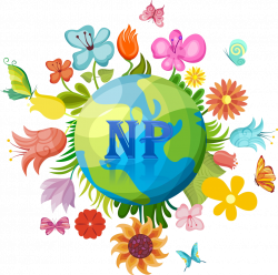 Nplants Nursery & Landscape Services