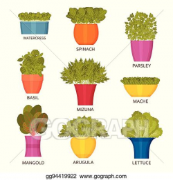 EPS Illustration - Indoor gardening icons with lettuce ...
