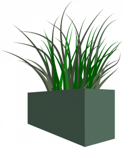 Grass In Square Planter Clipart | i2Clipart - Royalty Free Public ...